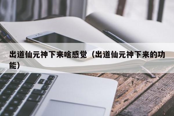 出道仙元神下来啥感觉（出道仙元神下来的功能）