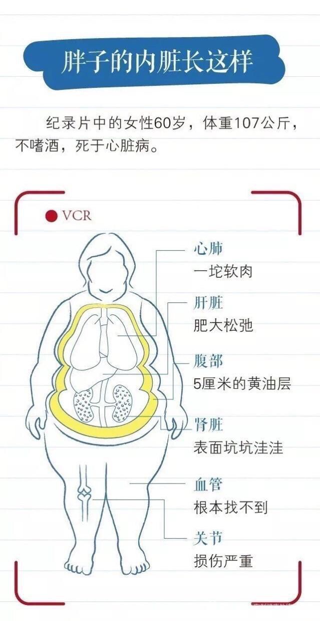 怎么知道自己堂口升级了