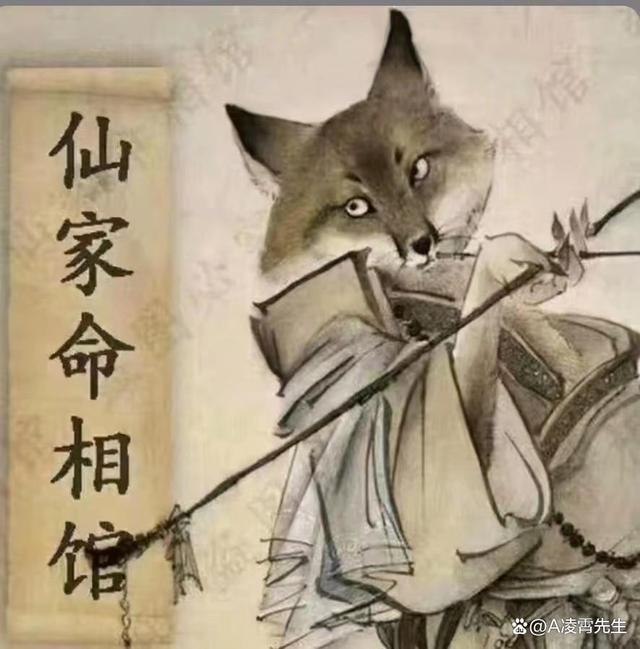 为什么越来越多人立堂口(嫁给立了堂的人)
