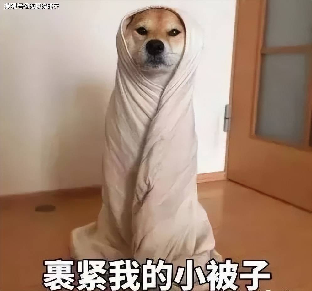 南方人立了北方堂口会不会有问题(南方和北方立堂的区别)
