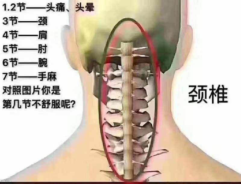 立堂口对身体的危害(立堂口是好事还是坏事)