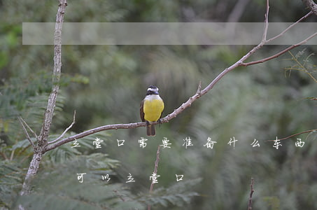 立堂口红布是做什么用的呢(立堂口需要买什么)