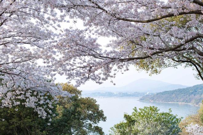 茅山道士会立堂口天眼吗(天眼查企业微真堂)