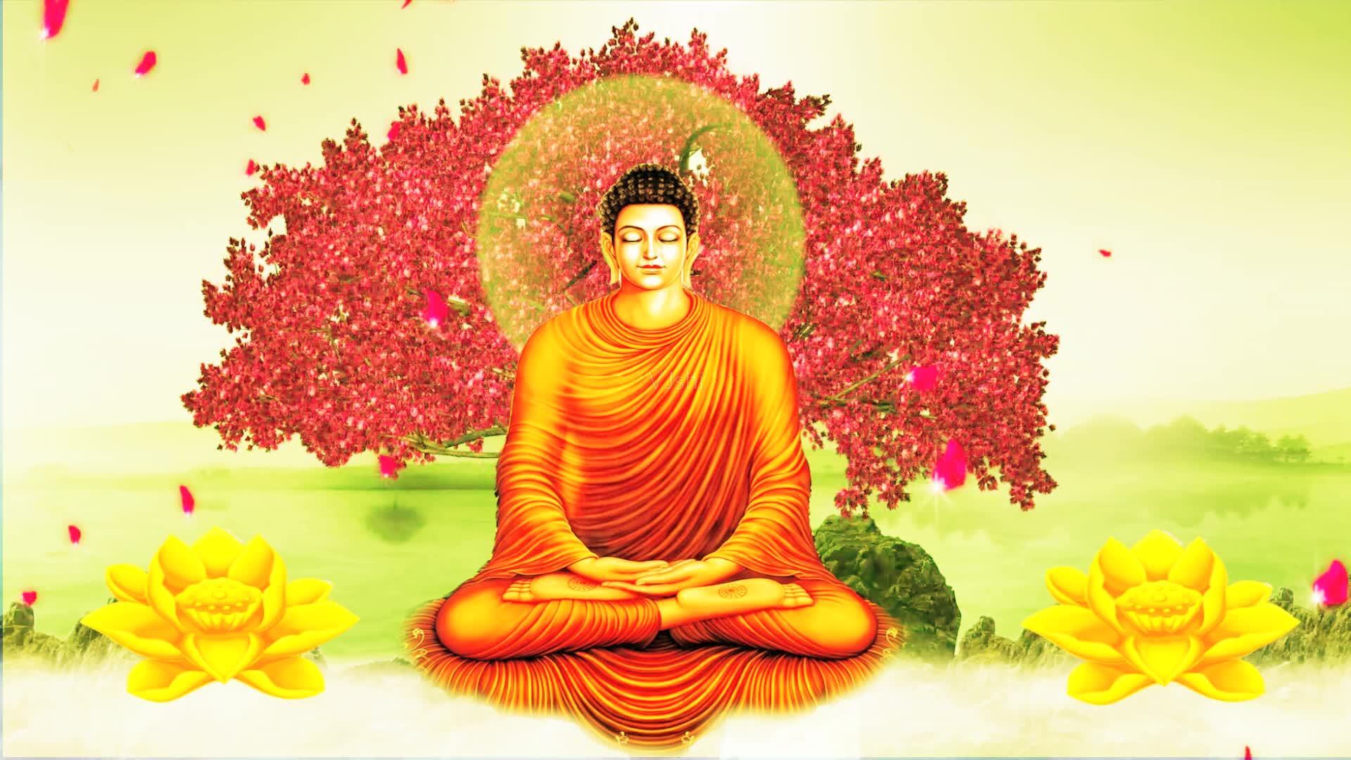 没缘分的人可以立堂口吗?(有仙缘没立堂怎么沟通)