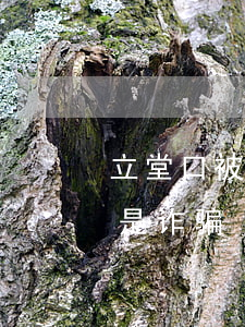 六月十九可以立堂口吗(六月十九应该怎样上香)