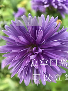 师傅立的堂口别人能送么(立堂口师傅来家还是去师傅家)