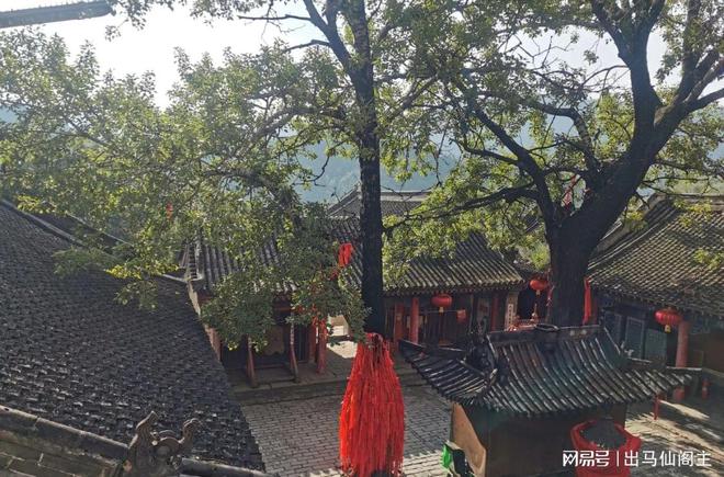 没立堂口的人能去寺院吗请问(到立堂口没有立会怎样)