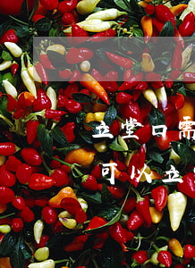 八月立堂口日子(立堂口怎么选日子)