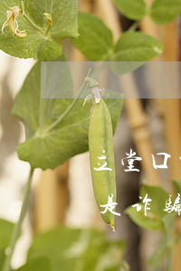 立完堂口能不能送走(立完堂口会害怕吗)
