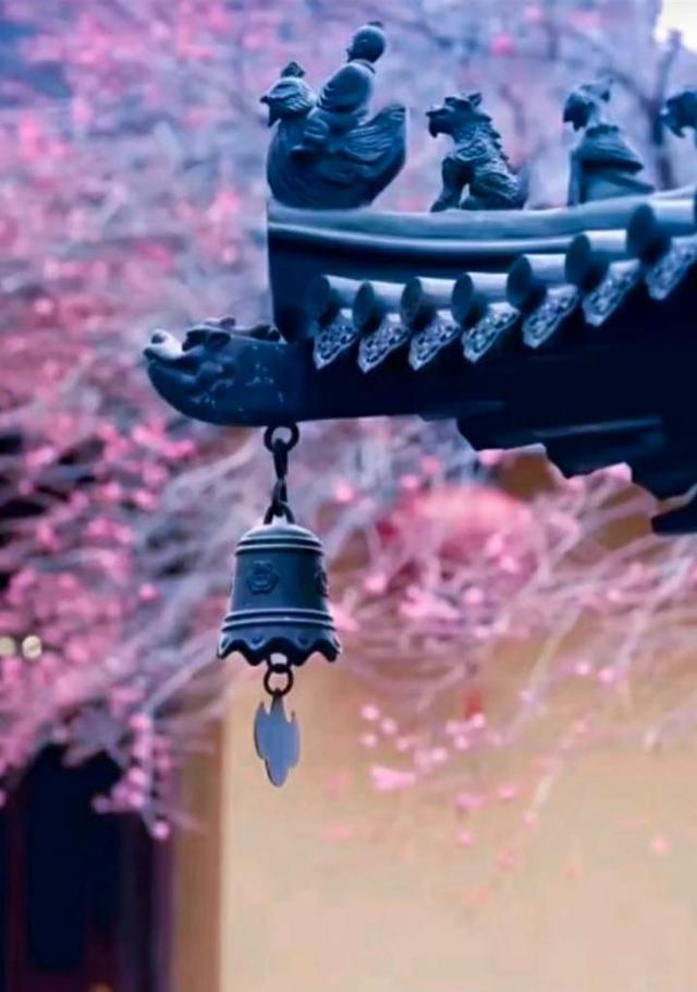 出道弟子立堂口多久能看事(怎么能让身后师傅开口说话)
