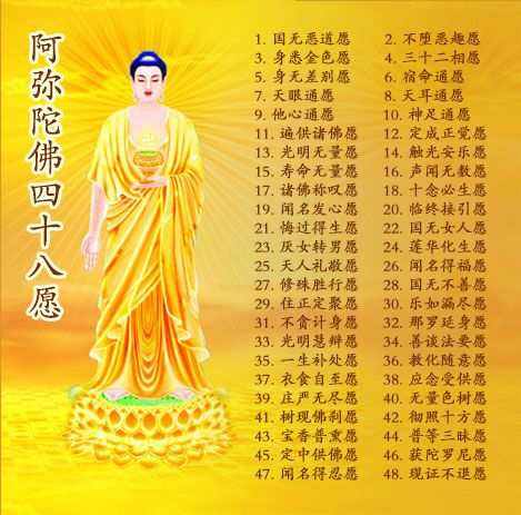 立堂口多久可以开眼(仔兔一般多久开眼)