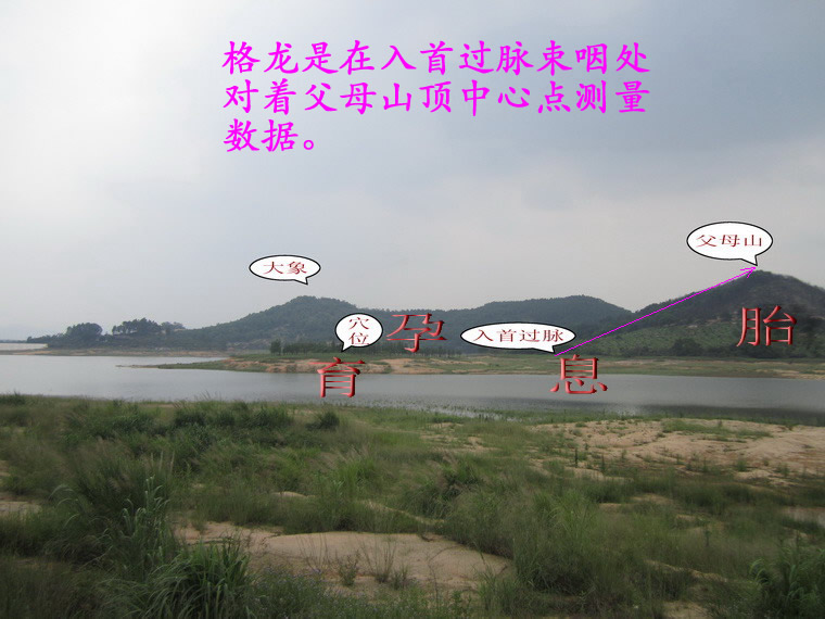 家里有龙仙堂口怎么立(堂口有龙仙是怎么回事)