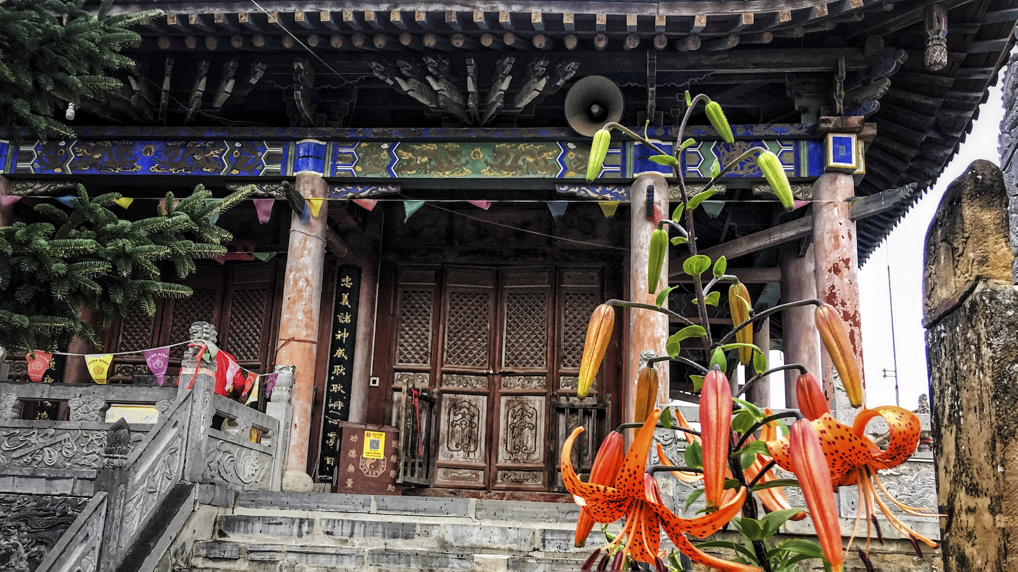 道士可以在自家立堂口吗(道士能不能去寺庙)