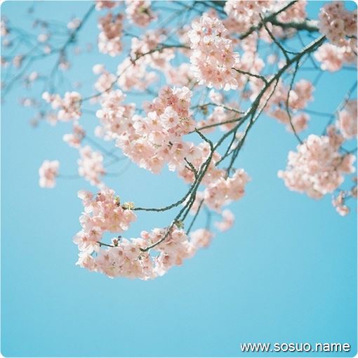 梦见算命要我立堂口(梦见让算命先生给算命)